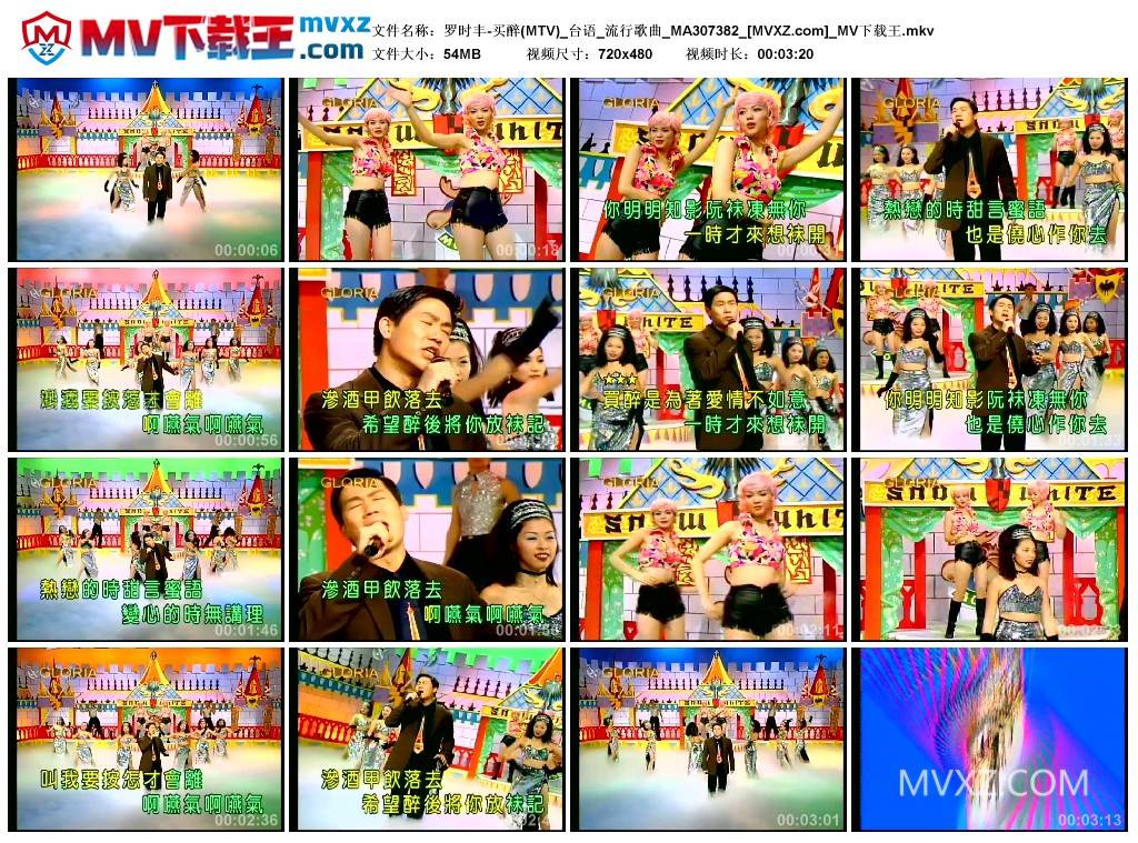 罗时丰-买醉(MTV)_台语_流行歌曲_MA307382